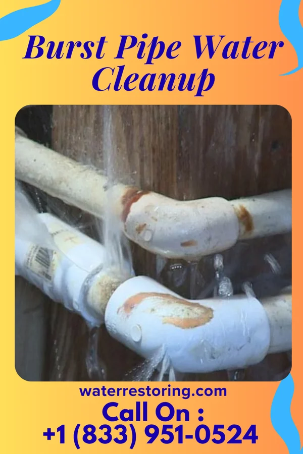 Burst Pipe Water Cleanup in Lee's Summit, MO