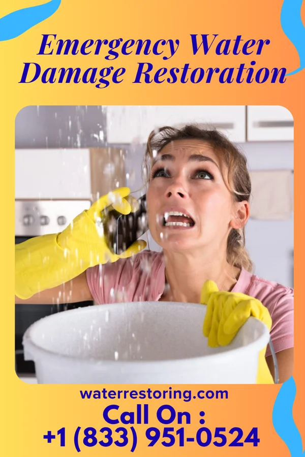 Emergency Water Damage Restoration in Lee's Summit, MO