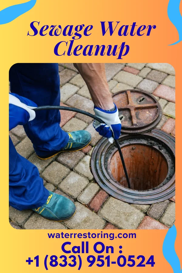 Sewage Water Cleanup in Lee's Summit, MO
