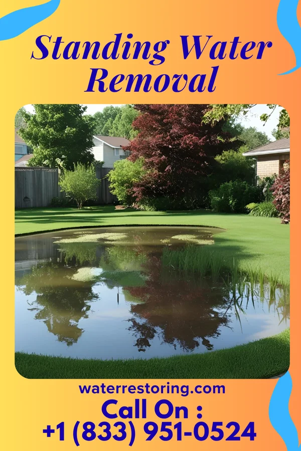 Standing Water Removal in Lee's Summit, MO